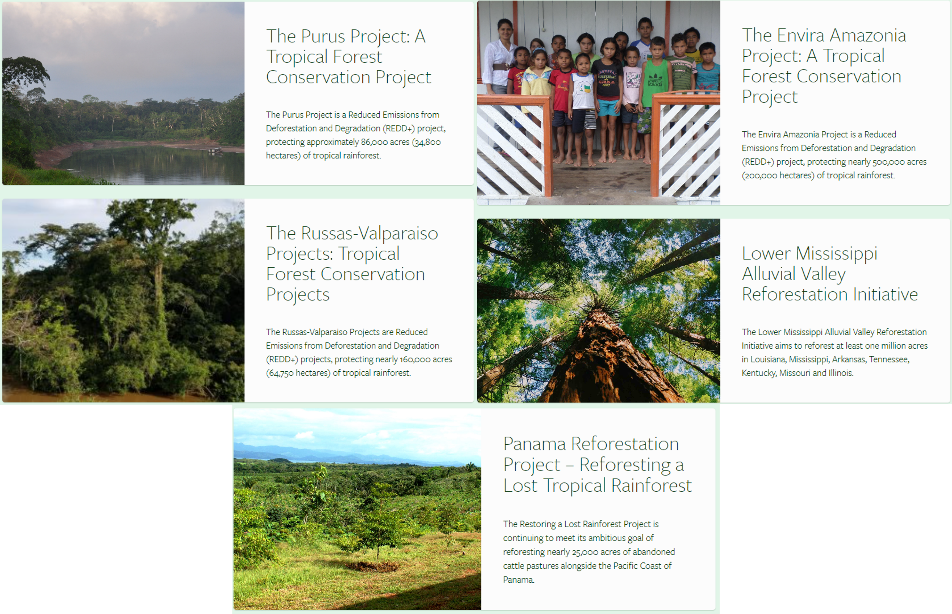 Carbon Fund의 숲 조성 프로젝트